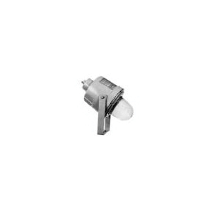 Appleton® CFL250-MT Flood Light Fixtures
