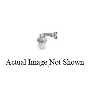 Appleton® CSSB7524DCRE Explosion-Proof Strobe-Flashing Lights