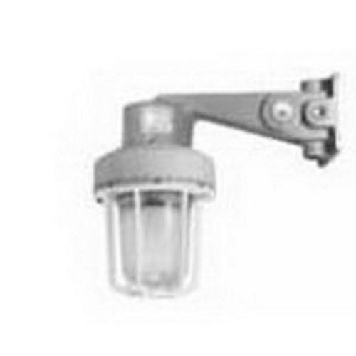 Appleton® CSSB75120ACREG Explosion-Proof Strobe-Flashing Lights