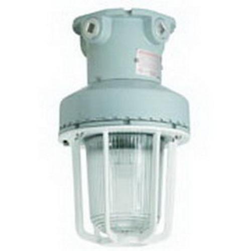 Appleton® CSSC75120ACRE Explosion-Proof Strobe-Flashing Lights