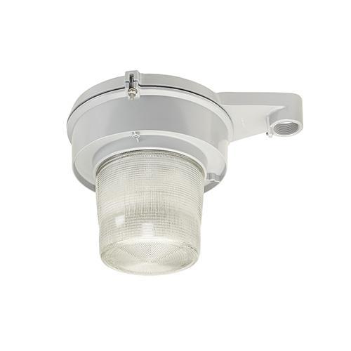 Appleton® IMLLEDD33P5BU Area Lighting