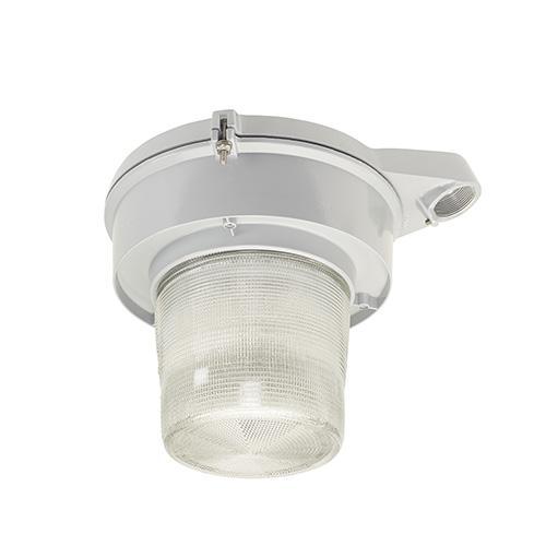 Appleton® IMLLEDS35G5BU8 Area Lighting