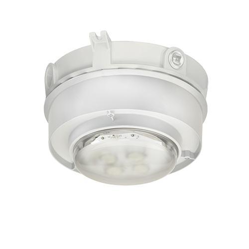 Appleton® IMLLEDS45G5BU Area Lighting