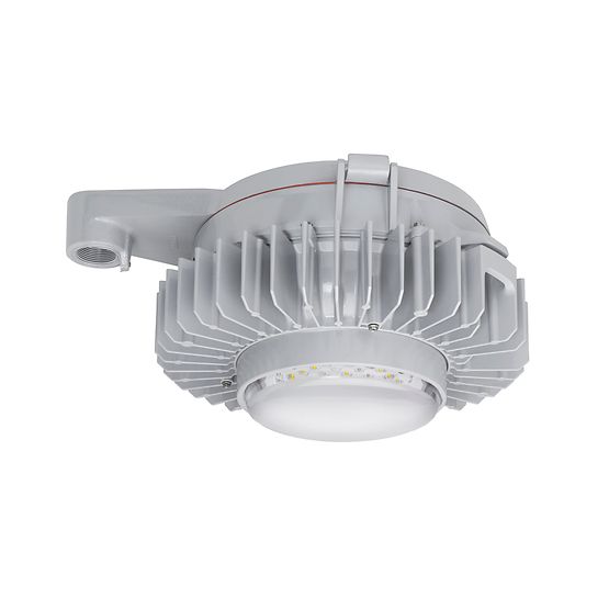 Appleton® KRG2S Light Fixture Guards