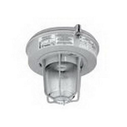 Appleton® MLAL702G1GMT Explosion-Proof Outdoor Lighting