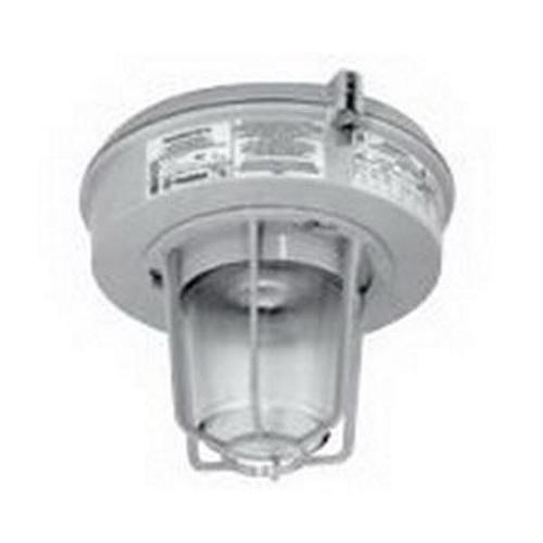 Appleton® MLFL502G1GMT Explosion-Proof Outdoor Lighting