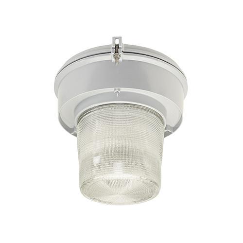 Appleton® MLLEDA23D5BU3 Explosion-Proof Outdoor Lighting