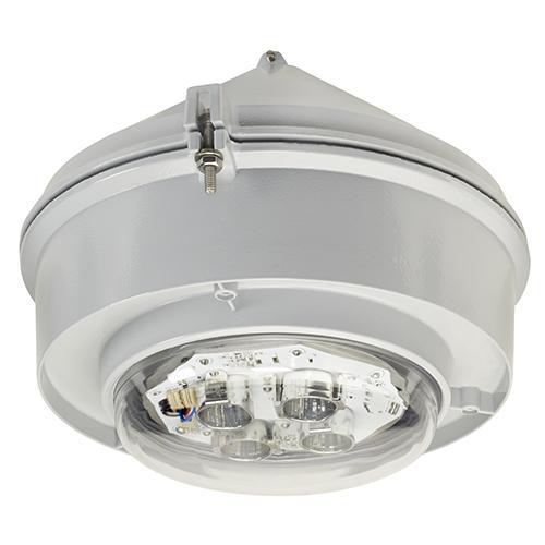 Appleton® MLLEDA42G5BU1 Explosion-Proof Outdoor Lighting