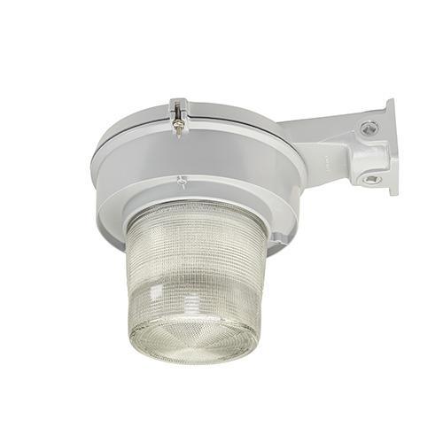 Appleton® MLLEDR34D5BU Explosion-Proof Outdoor Lighting