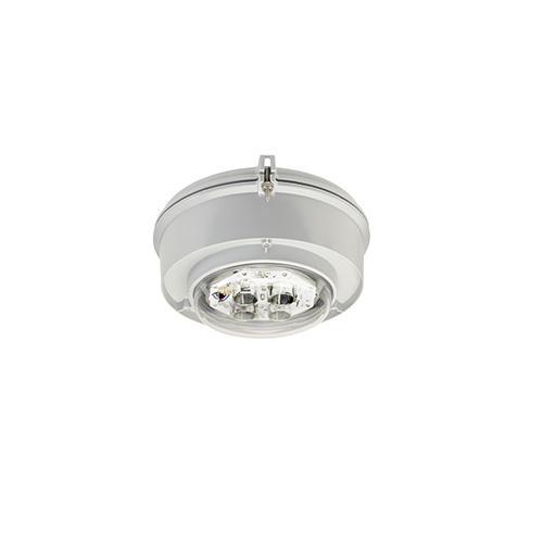 Appleton® MLLEDS35D5BU1 Explosion-Proof Outdoor Lighting