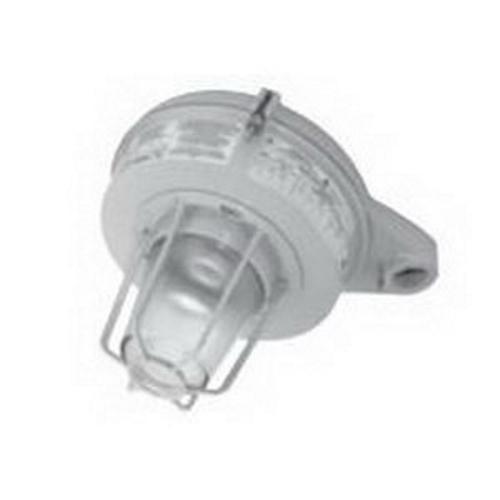 Appleton® MLSI154G1GLB Explosion-Proof Outdoor Lighting