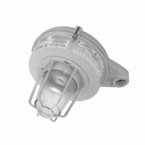 Appleton® MLSL154G1GMT Marine Location Fixtures