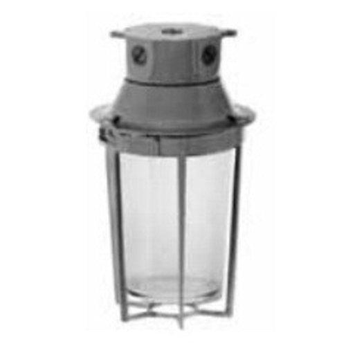 Appleton® VPX2050G Outdoor Ceiling Lighting