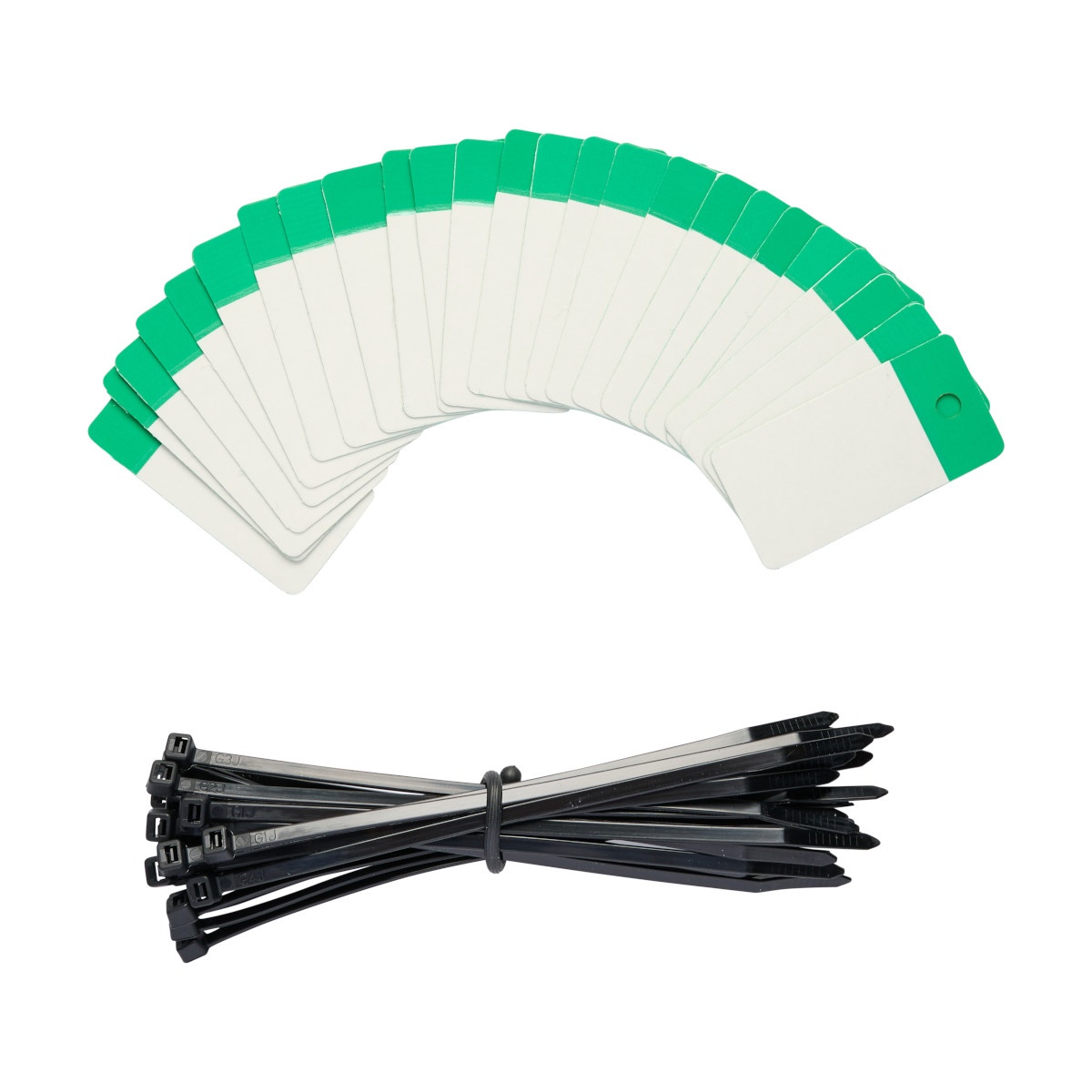 Brady® 101976 Blank Tags & Preprinted Headers