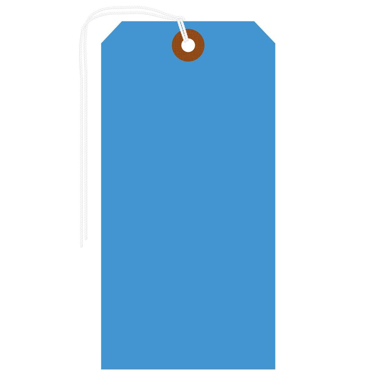 Brady® 102091 Blank Tags & Preprinted Headers