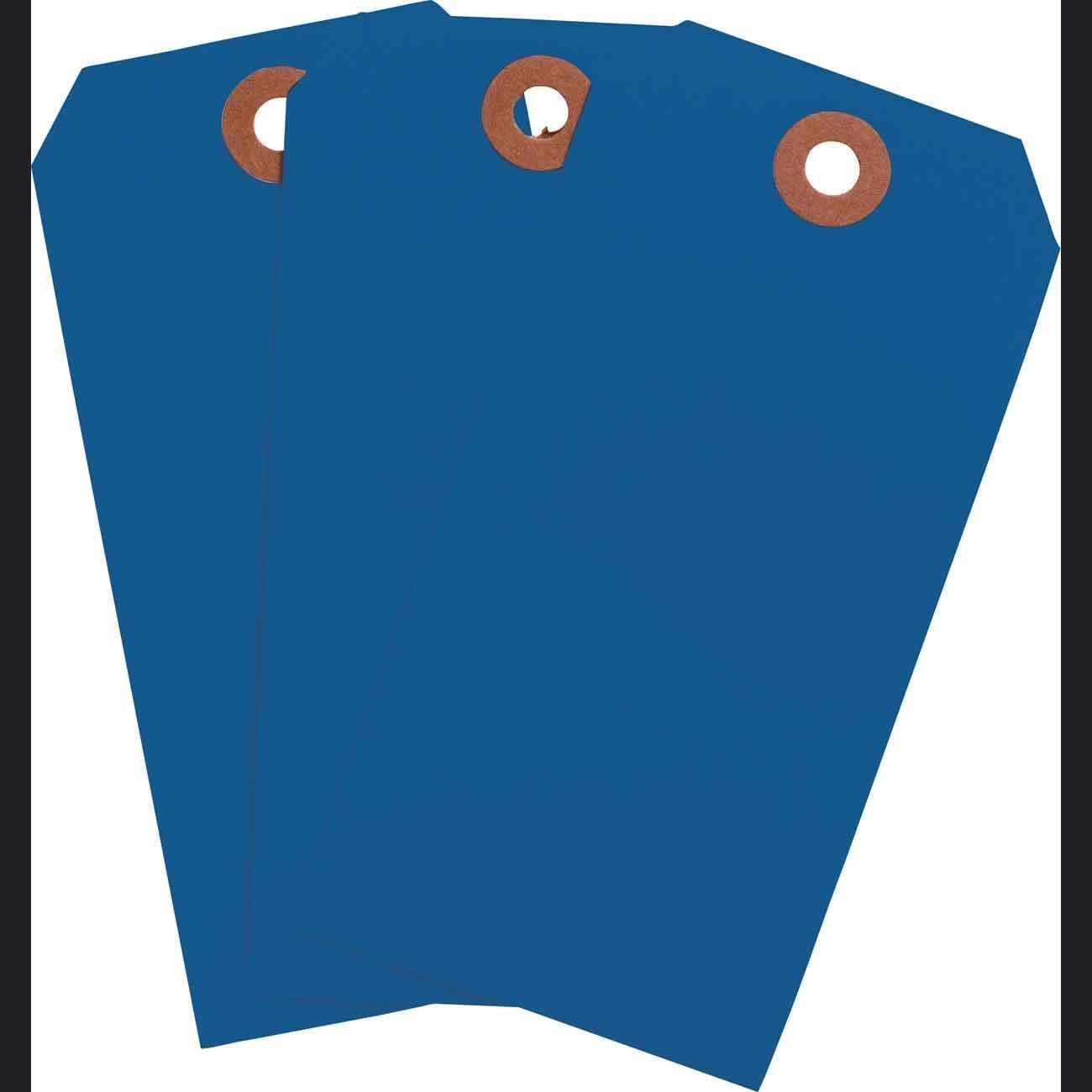 Brady® 102100 Blank Tags & Preprinted Headers