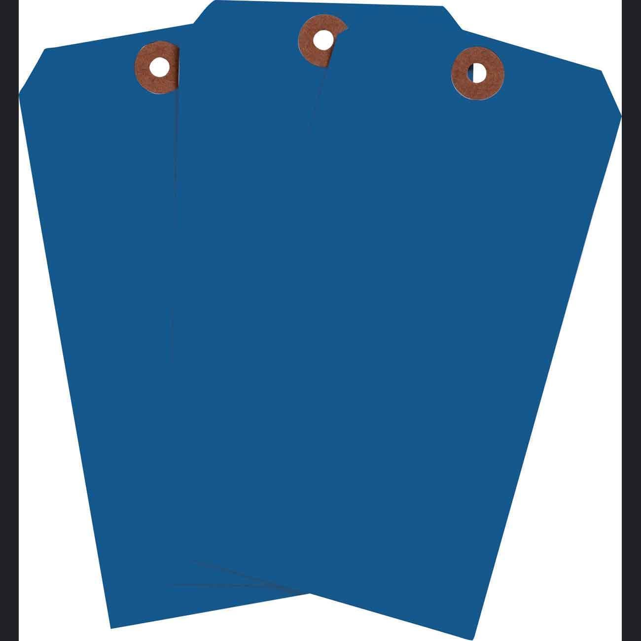 Brady® 102103 Blank Tags & Preprinted Headers