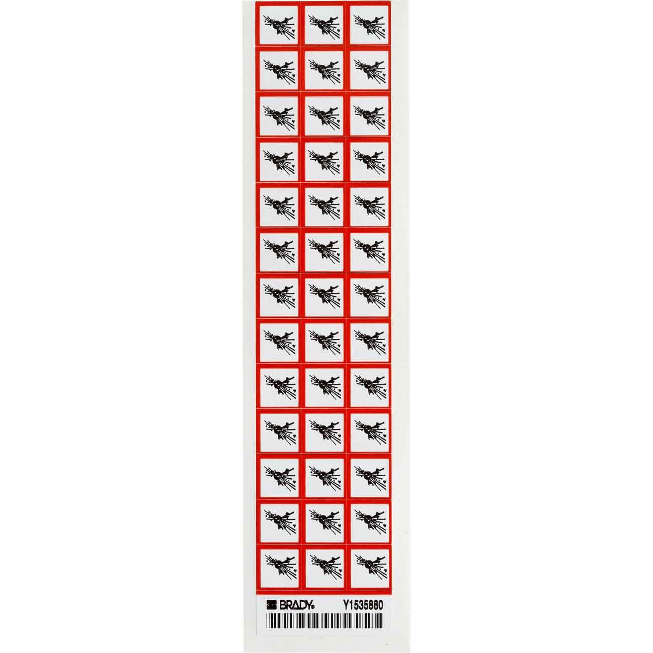 Brady® 118817 Safety & Facility Labels