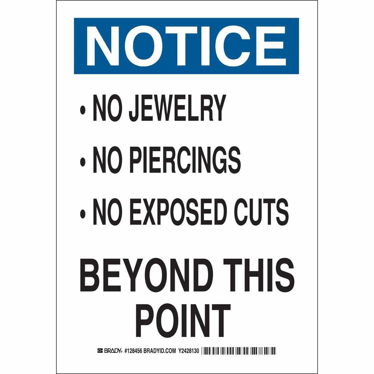 Brady® 128459 No Smoking & Restricted Activity Signs