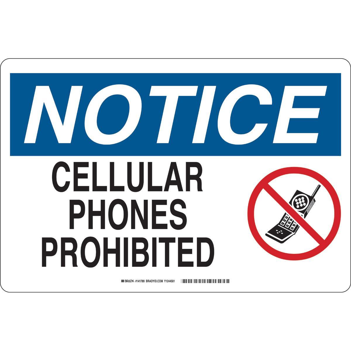 Brady® 141789 No Smoking & Restricted Activity Signs