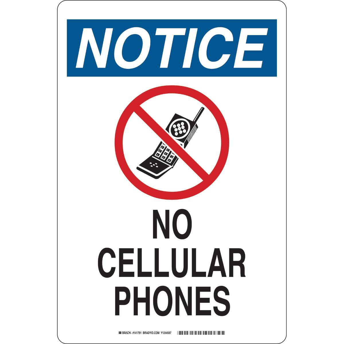 Brady® 141791 Access & Security Signs