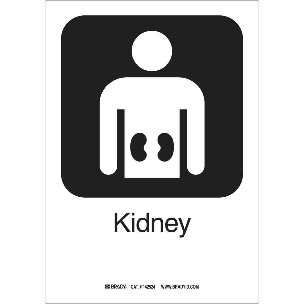Brady® 142524 Office & Facility Signs