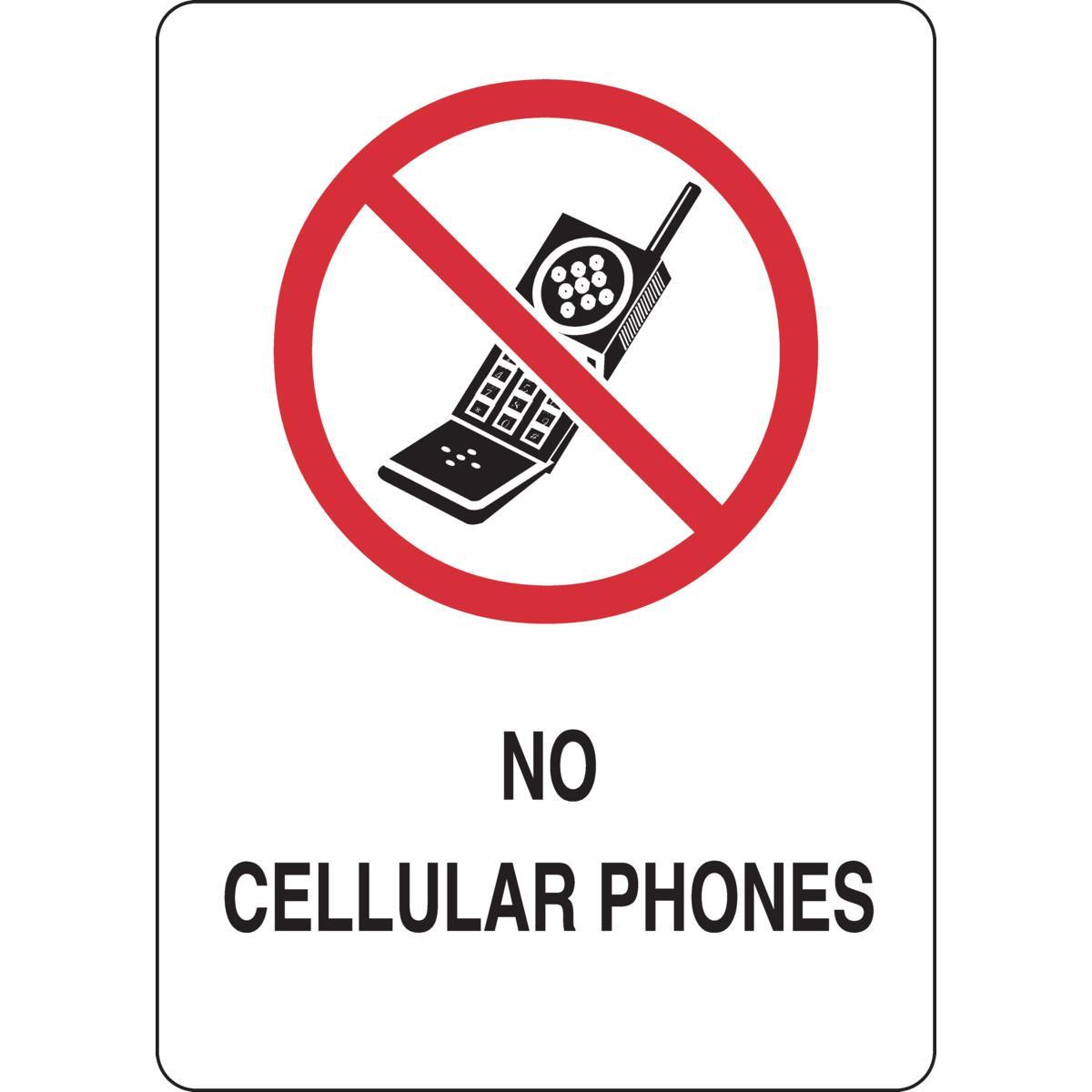 Brady® 95410 No Smoking & Restricted Activity Signs
