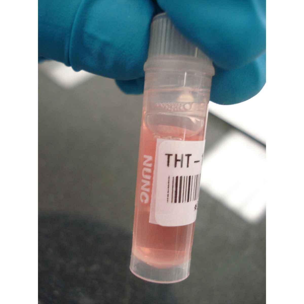 Brady® BM71-75-461 Wire & Component Labels