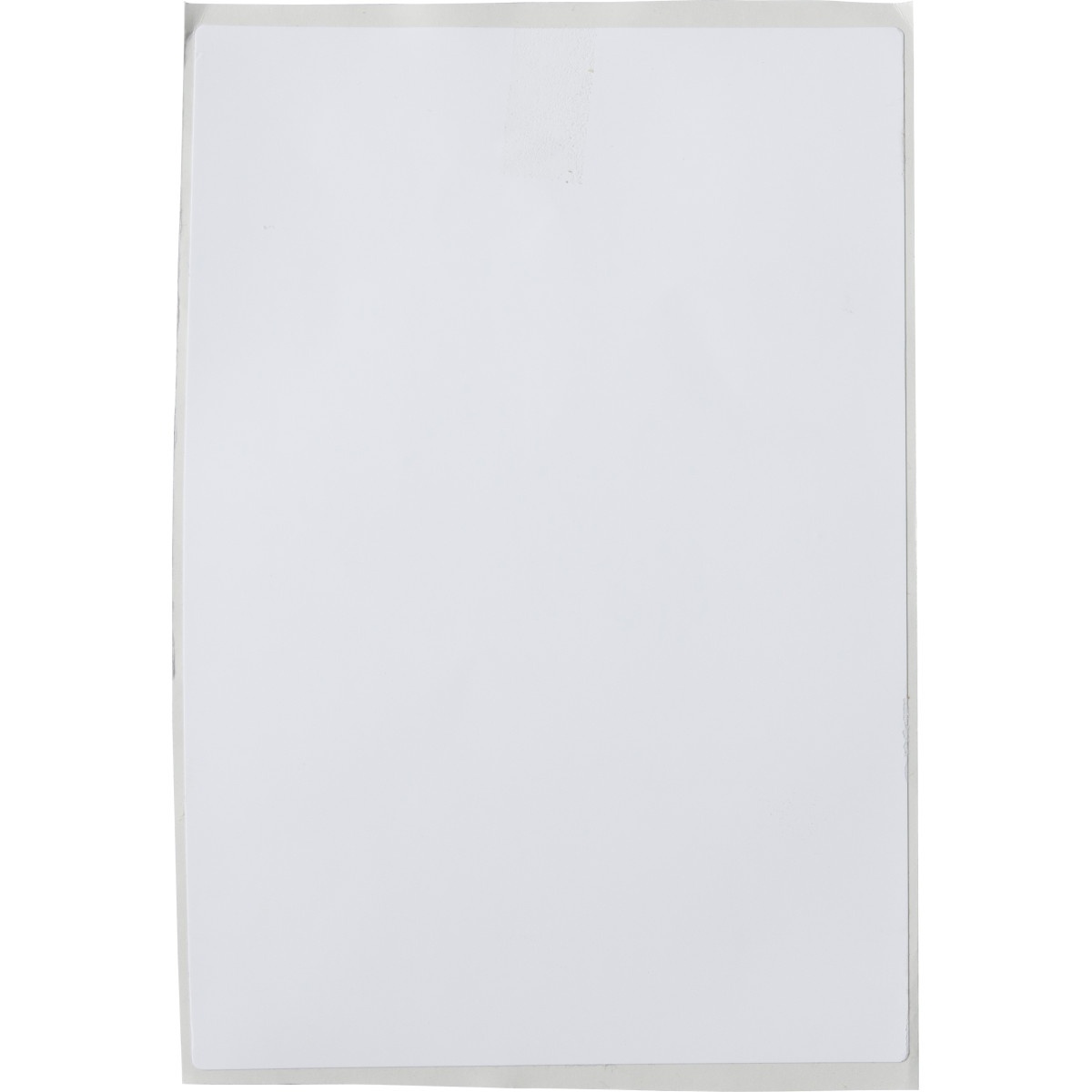 Brady® J50-262-2585 Blank Labels & Preprinted Headers