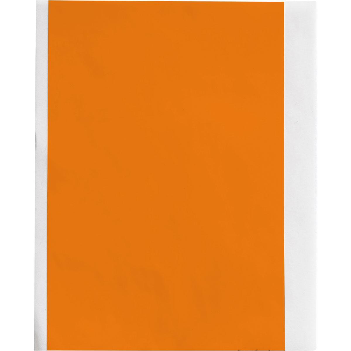 Brady® M61C-2000-595-OR Safety & Facility Labels