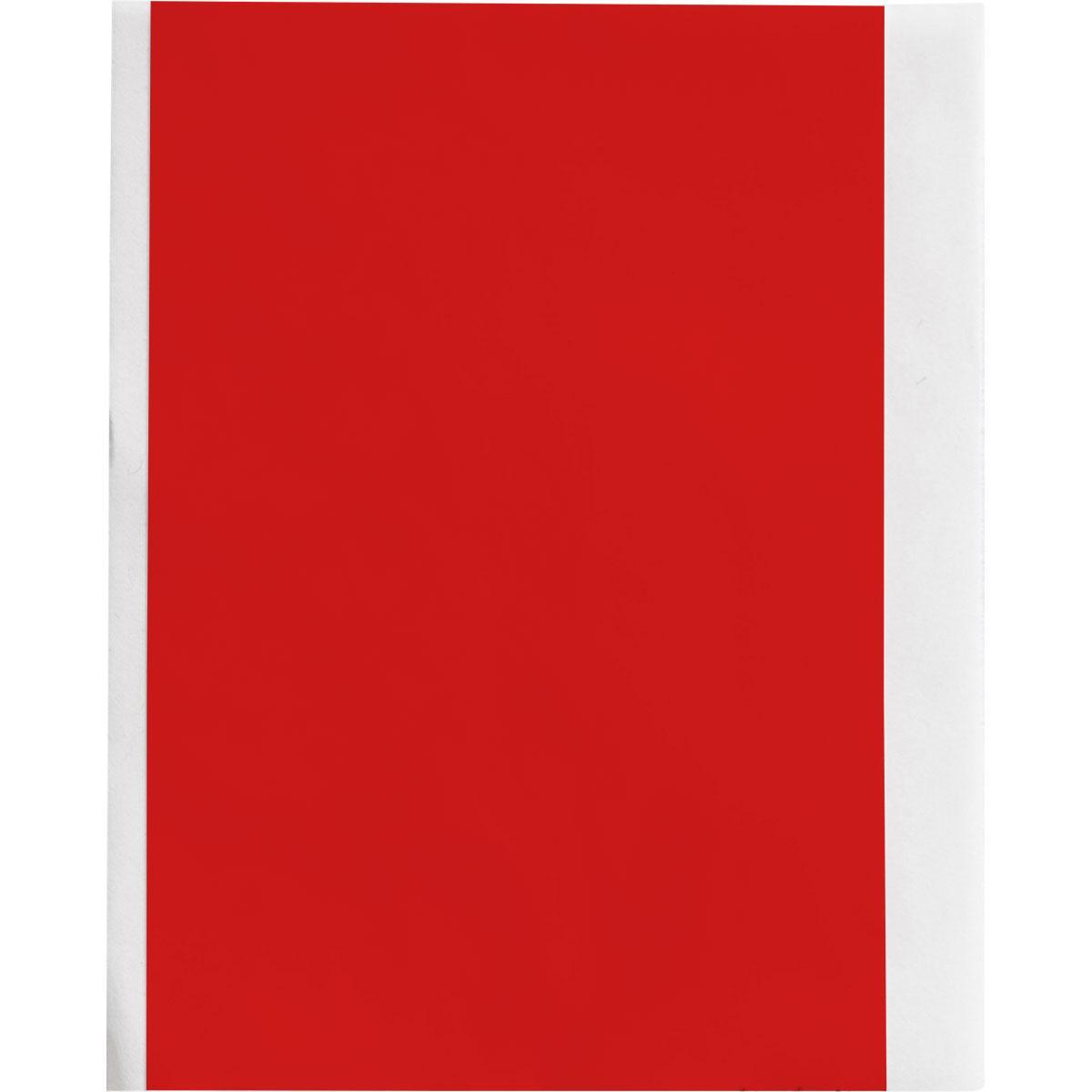 Brady® M61C-2000-595-RD Safety & Facility Labels