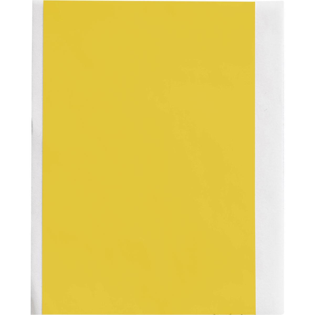 Brady® M61C-2000-595-YL Safety & Facility Labels