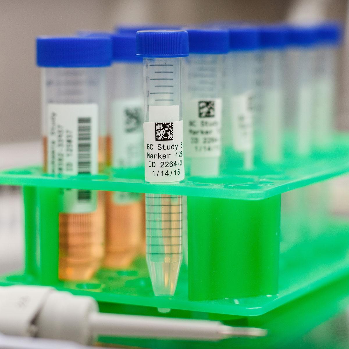 Brady® PTL-78-488 Wire & Component Labels