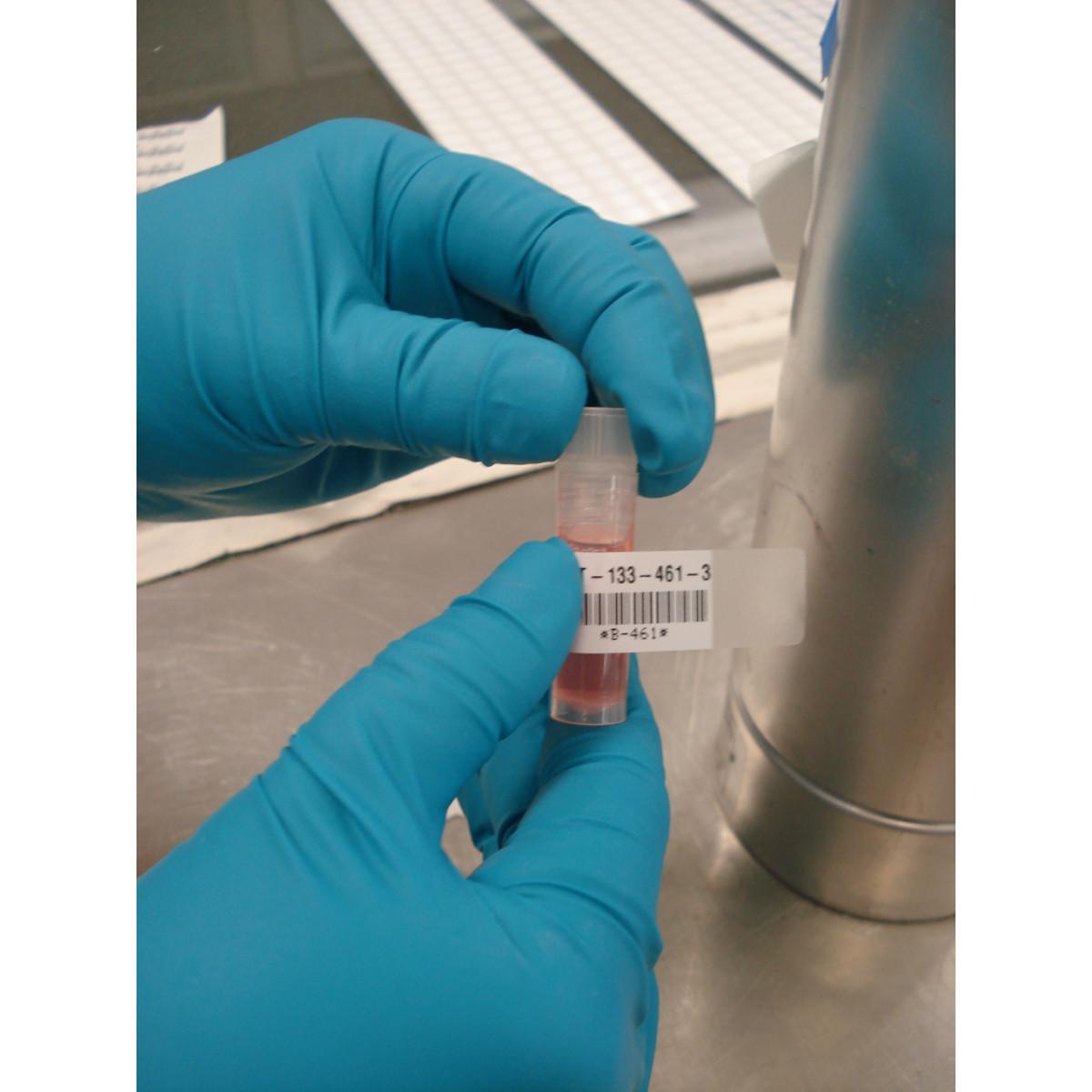 Brady® XSL-134-427 Wire & Component Labels