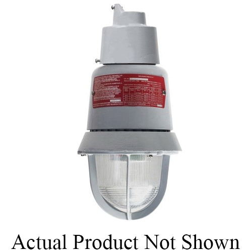 Edwards Signaling™ 116EXMLEDB-AQ Explosion-Proof Strobe-Flashing Lights