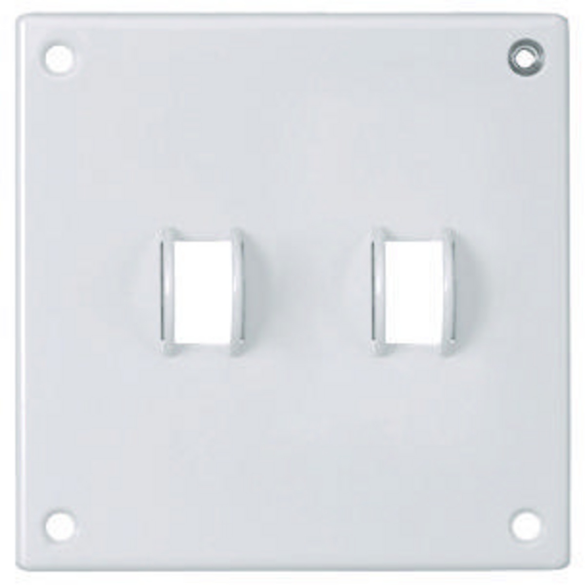 Hubbell Wiring Device-Kellems SWP2 Standard Wallplates