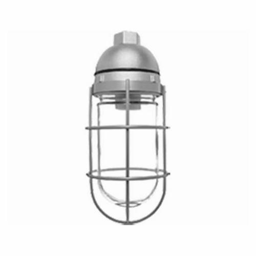 RAB Lighting VP1 Outdoor Vaporproof Light Fixtures