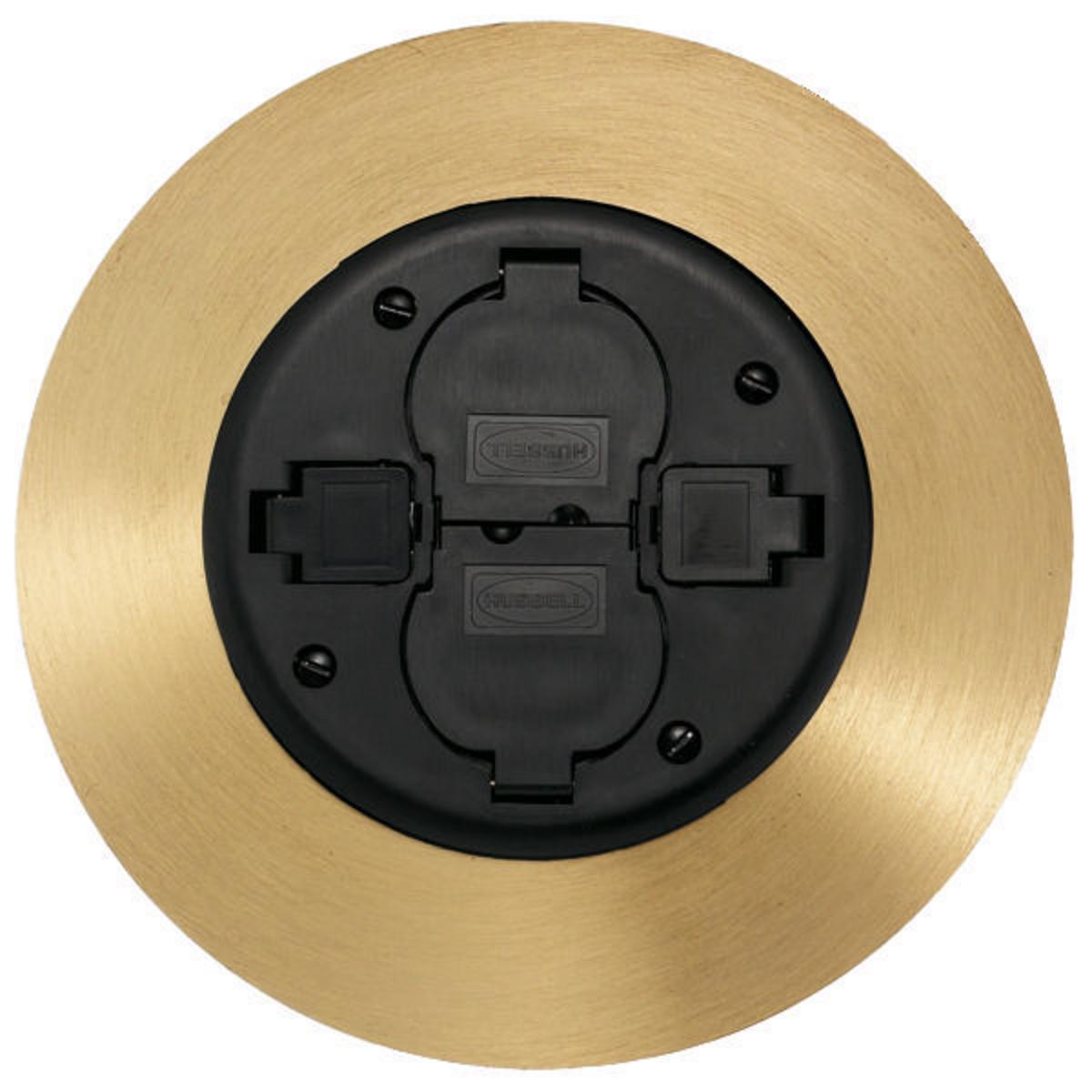 Hubbell Wiring Device-Kellems PT2X2SFBRS3 Poke-Through Covers