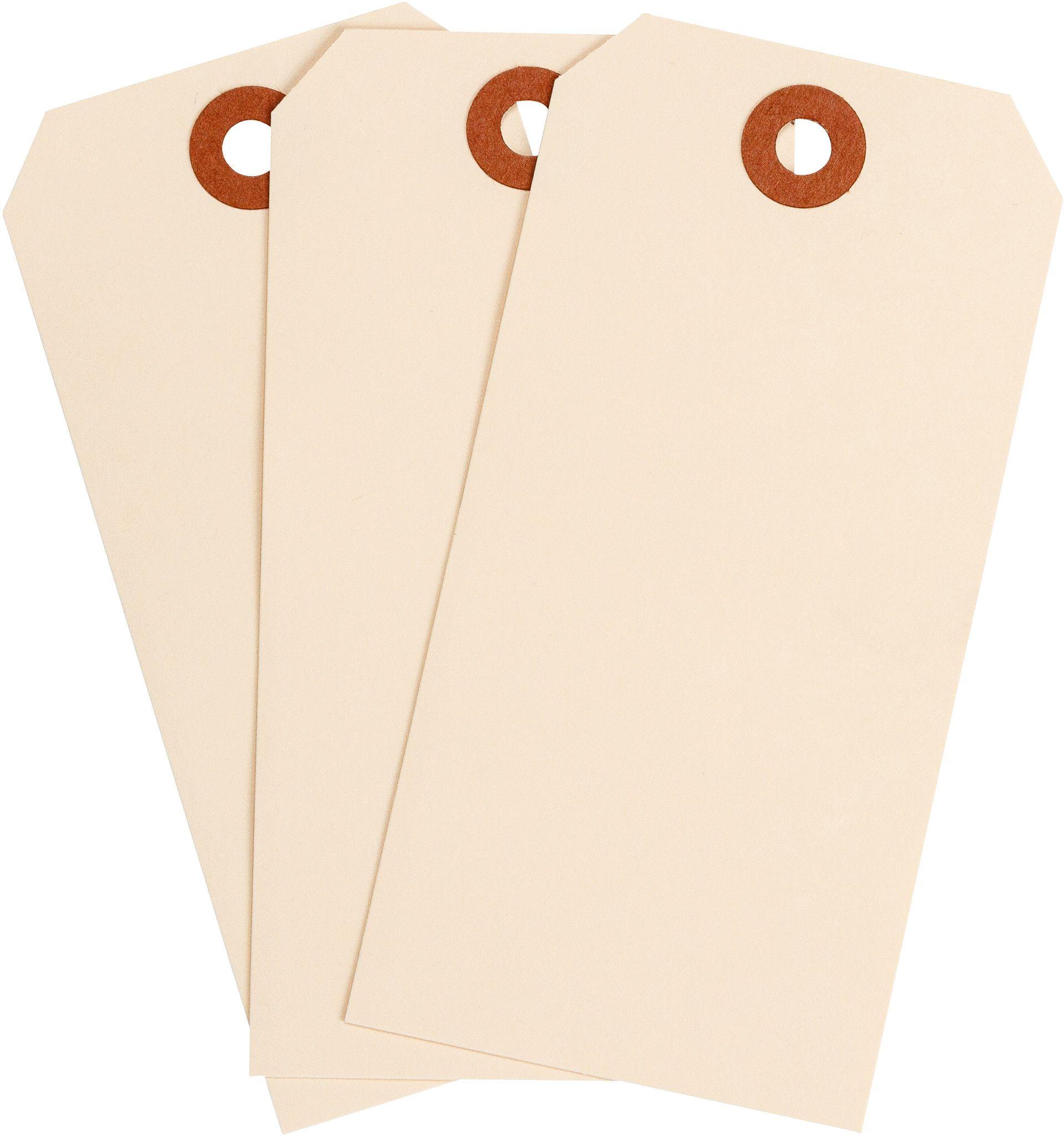 Brady® 102043 Blank Tags & Preprinted Headers