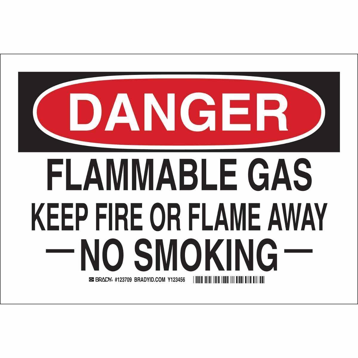 Brady® 123707 No Smoking & Restricted Activity Signs