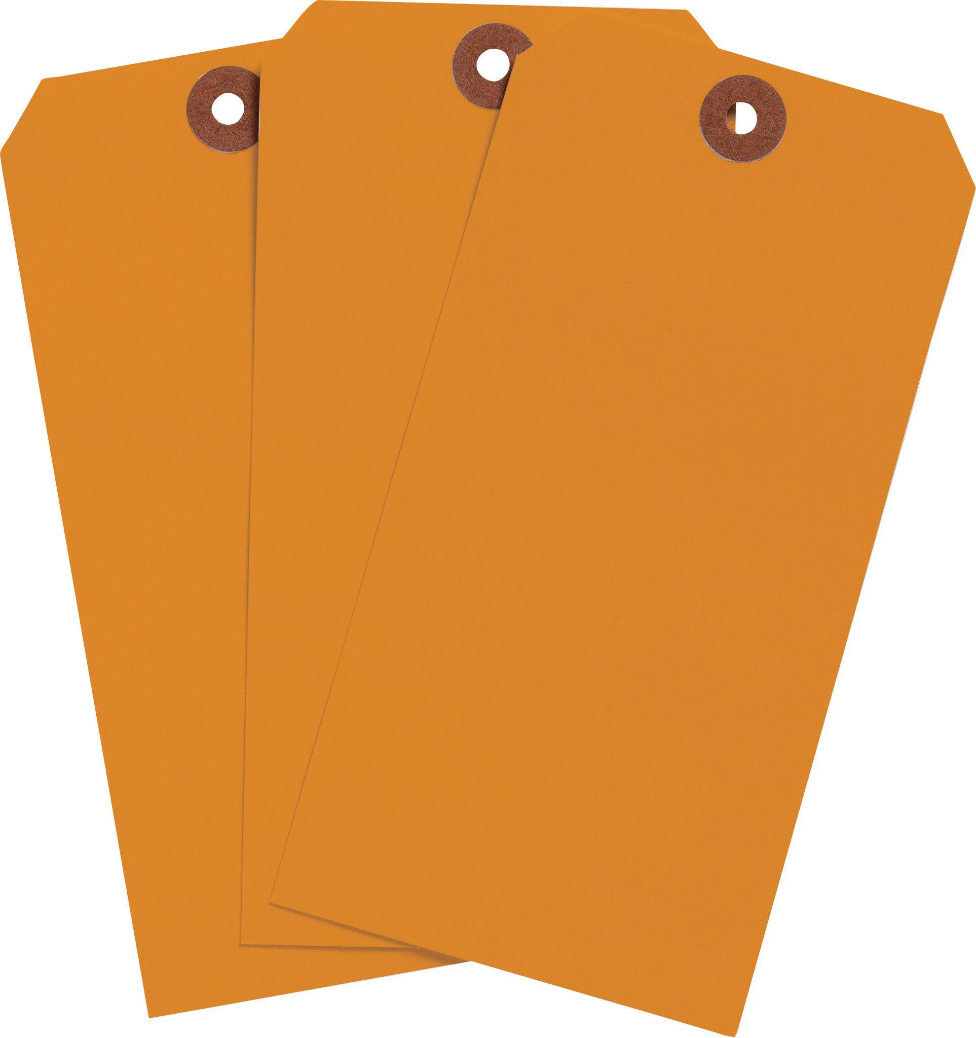 Brady® 102134 Blank Tags & Preprinted Headers