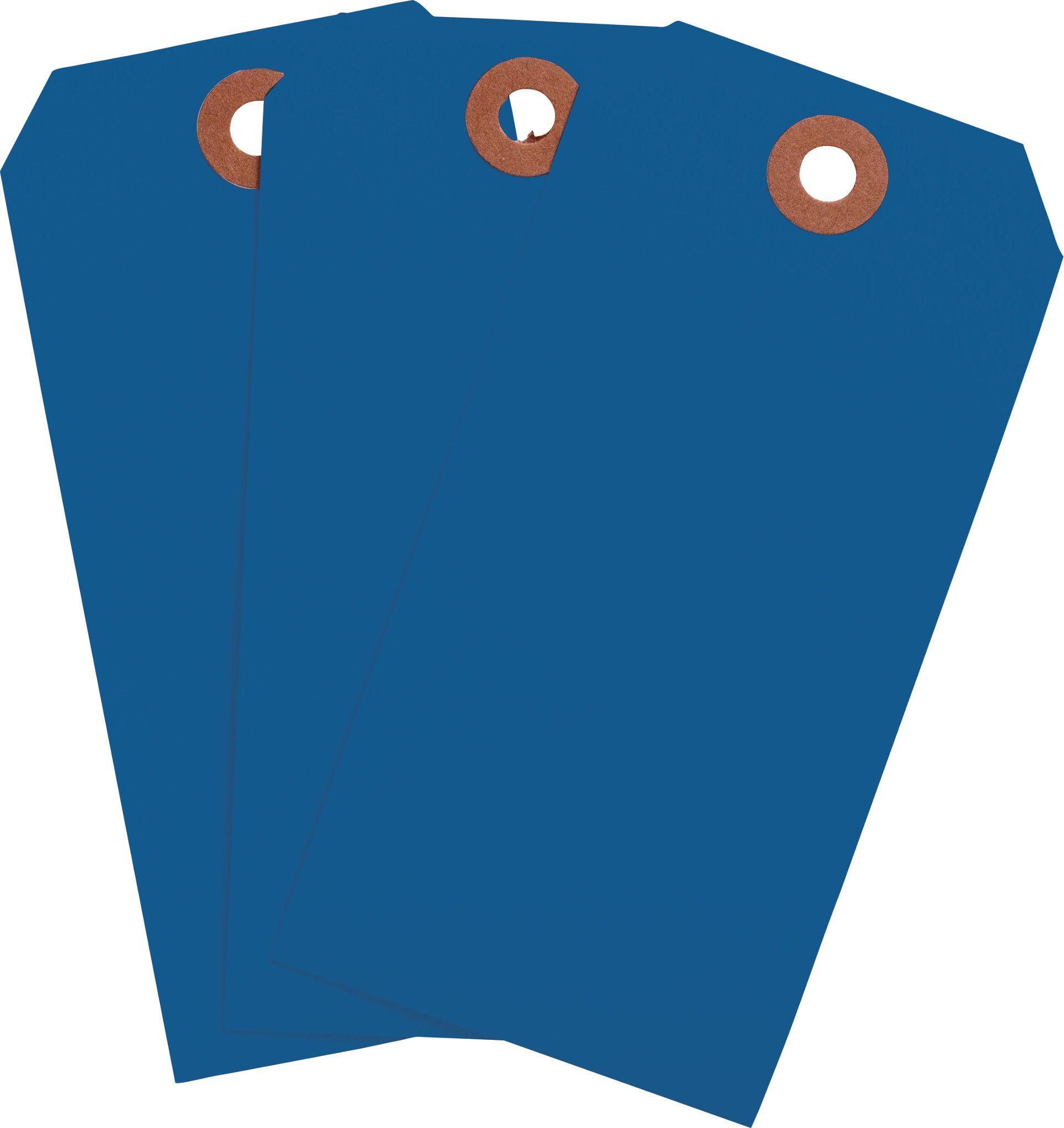 Brady® 102099 Blank Tags & Preprinted Headers