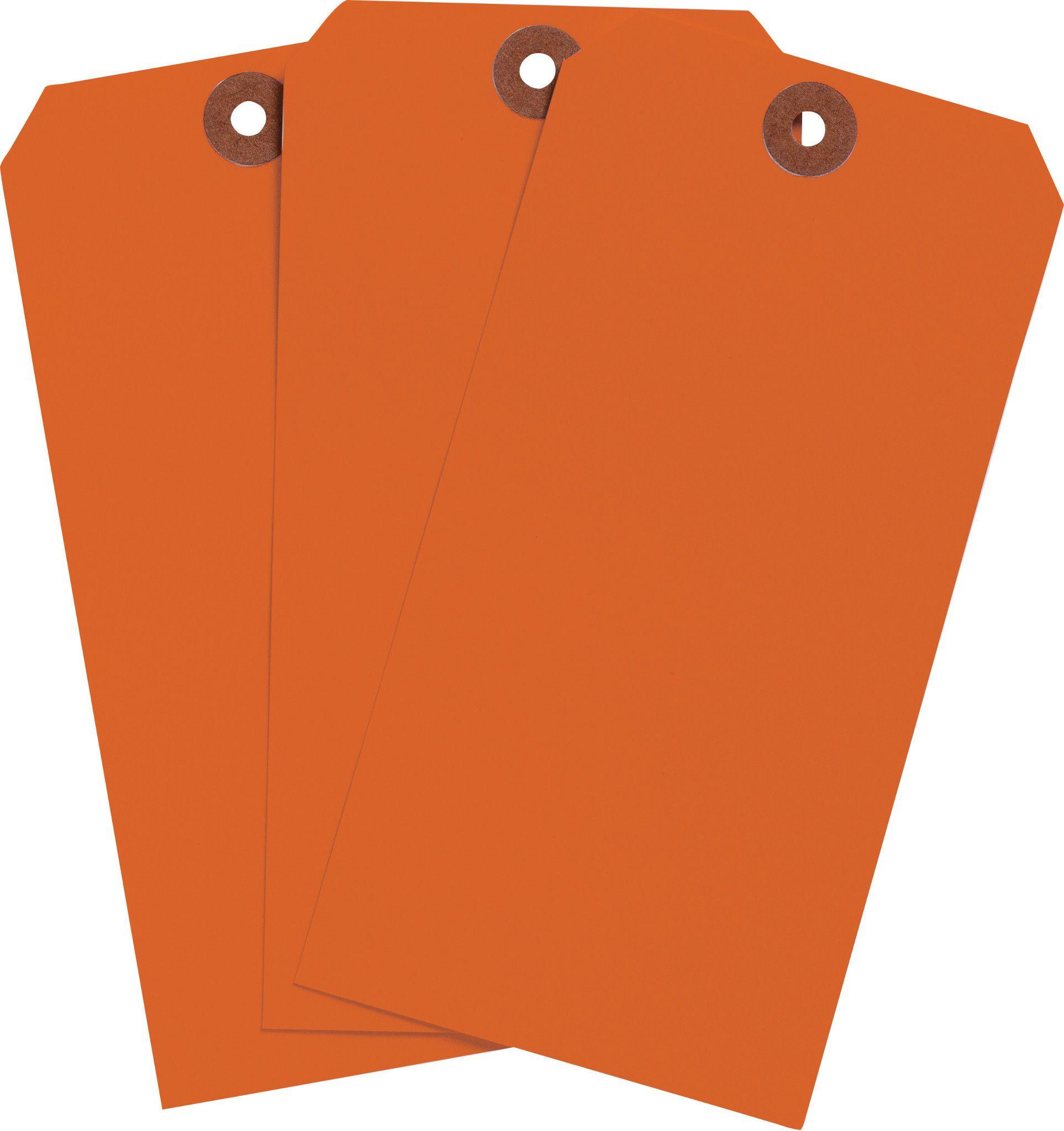 Brady® 102087 Blank Tags & Preprinted Headers