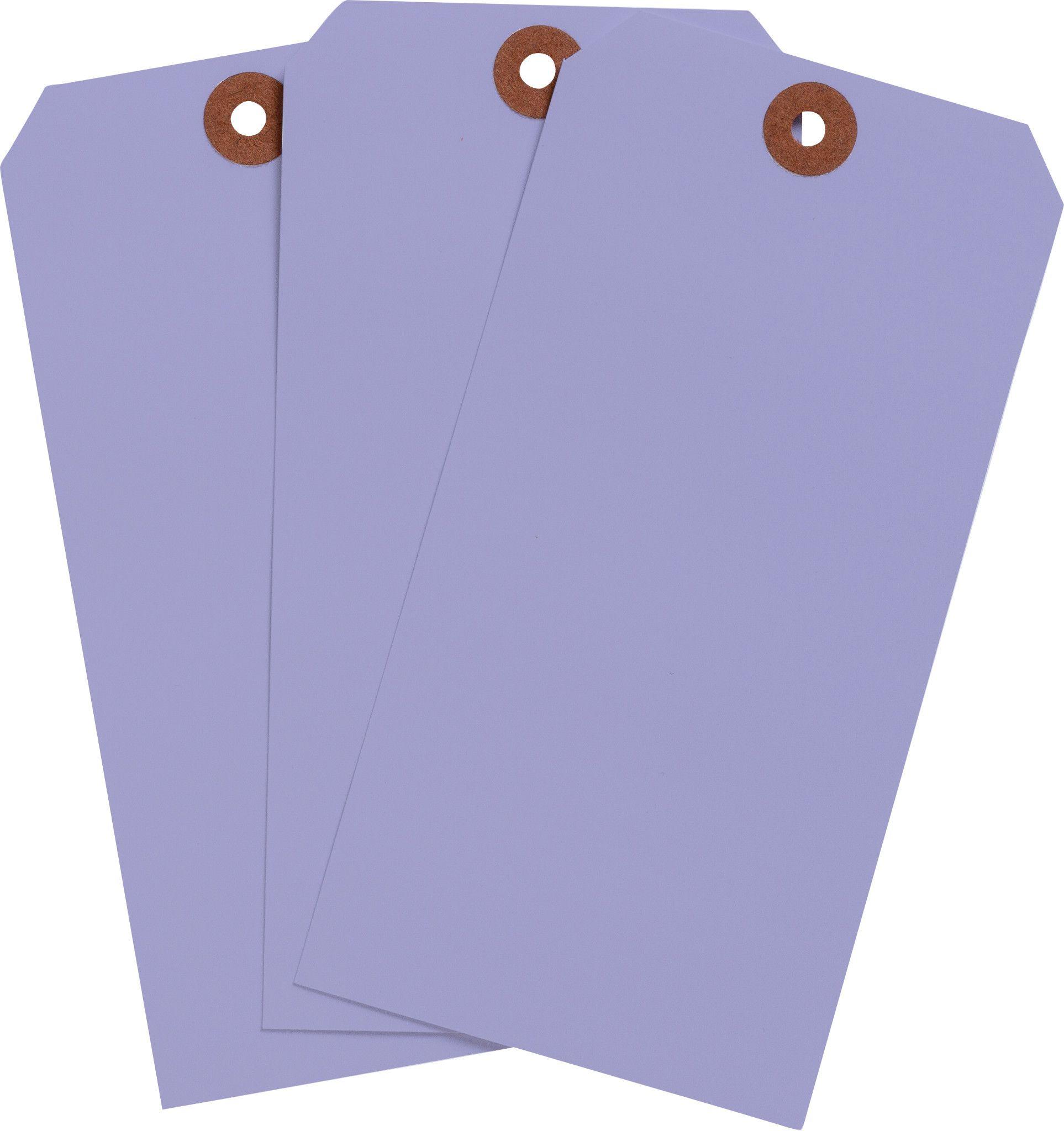 Brady® 102157 Blank Tags & Preprinted Headers