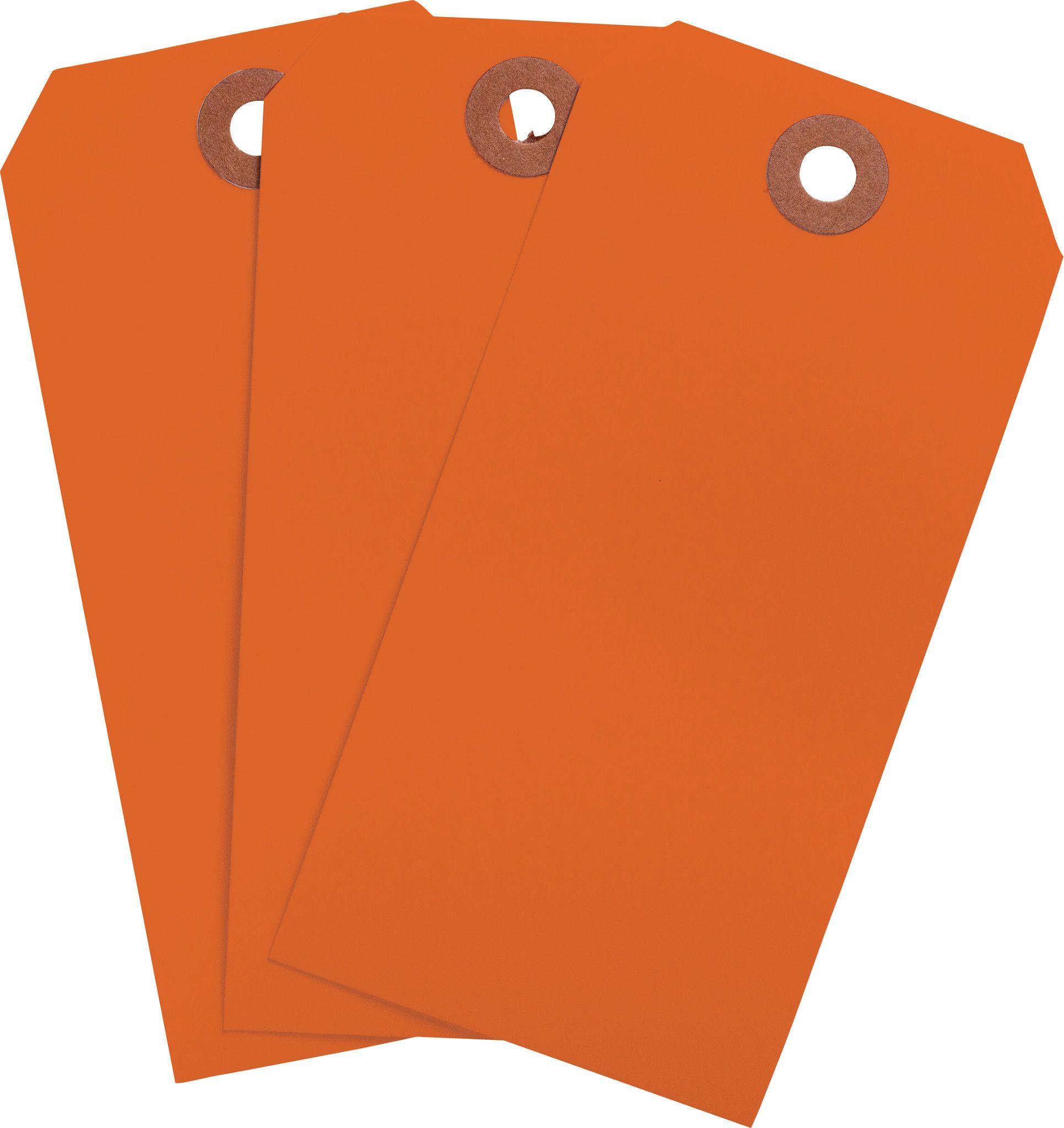 Brady® 102083 Blank Tags & Preprinted Headers