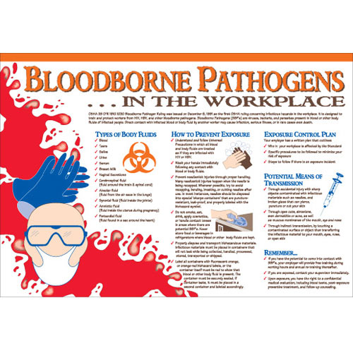 Brady® 105623 Safety Info Centers & Posters