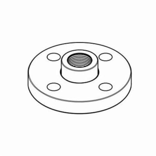 IPEX® 036385 PVC Van Stone Flanges
