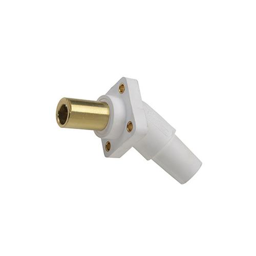 Pass & Seymour® PS45FRBW Single Pole Receptacles