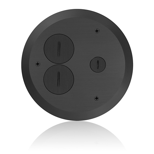 Leviton® FBC1X-E FBC Cover Plate, 6.50 in Dia, 2 Gangs, Brass