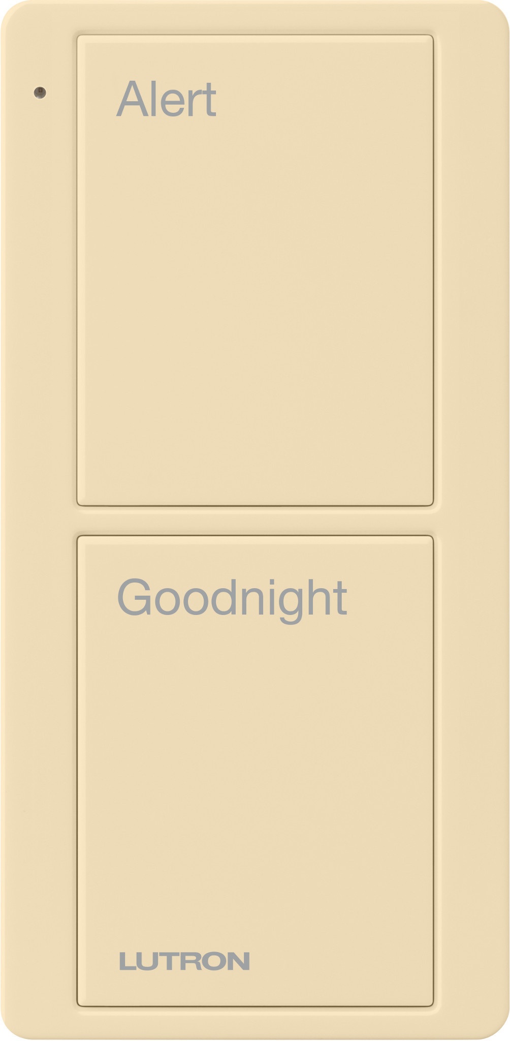 Lutron® PJ2-2B-GIV-P02 Lighting Control Remotes